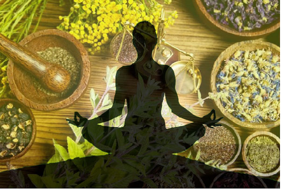 Diploma in Yoga and Naturopahty